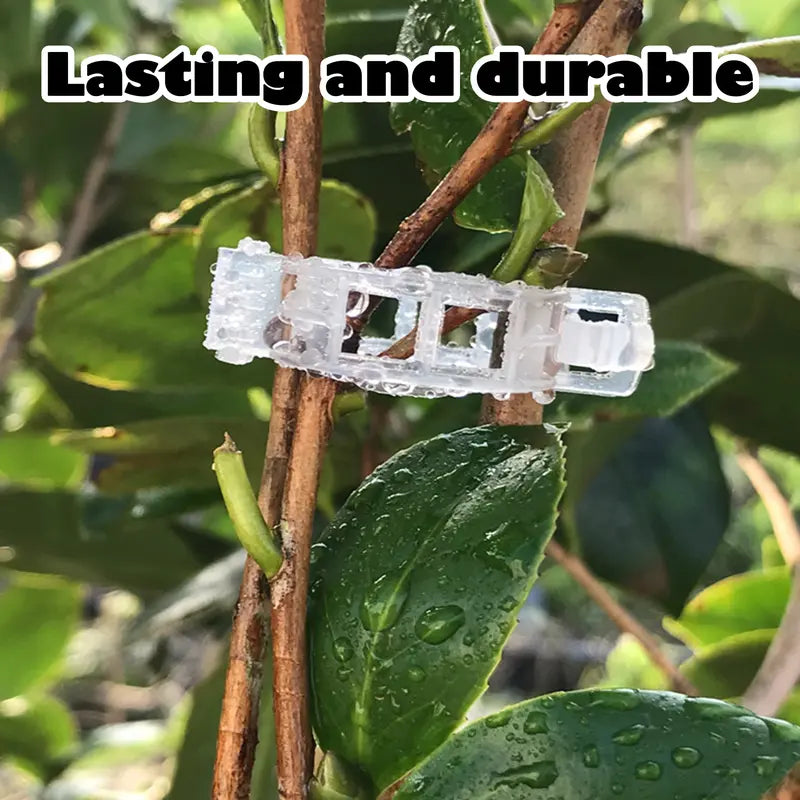 ⏰Last Day Promotion 49% 100 Counts Plant Support Clips