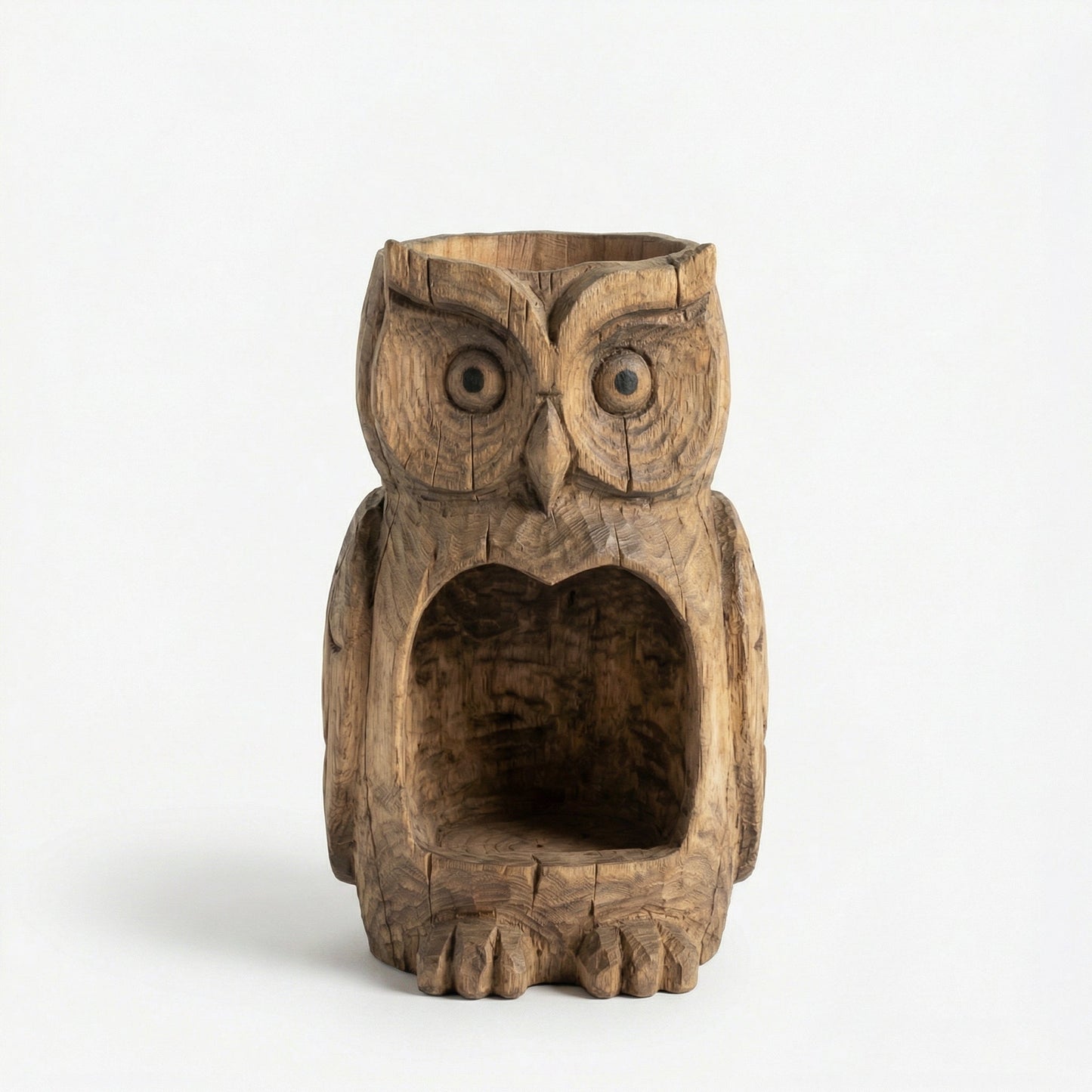 Early Spring Dual-Purpose Plant Owl Guardian