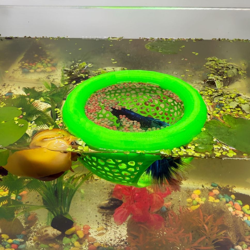 š„Last 4 hours 49% OFF- šFloating Fish Lounge