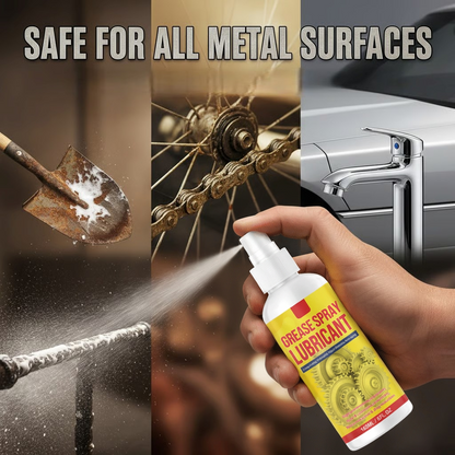 Anti-Rust Lubricant Spray & Rust Remover