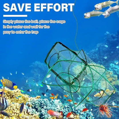🚨 50% OFF! 🚨 Automatic folding net for anglers – reinforced nylon fishing net, landing net with telescopic handle 🎣✨