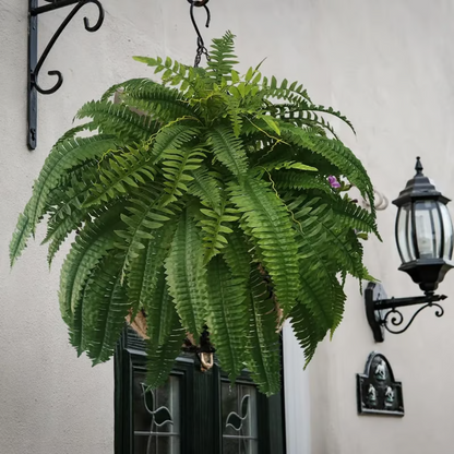 🔥Last Day 75% OFF--🌿UV Resistant Lifelike Artificial Boston Fern
