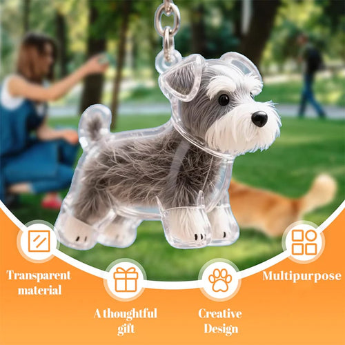 🐶🐱Newest Creative Transparent Dog/Cat Hair Collection Container Keychain