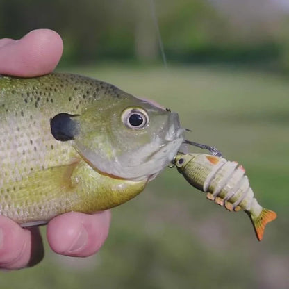 🐟Lifelike Fishing Lures for Freshwater and Saltwate