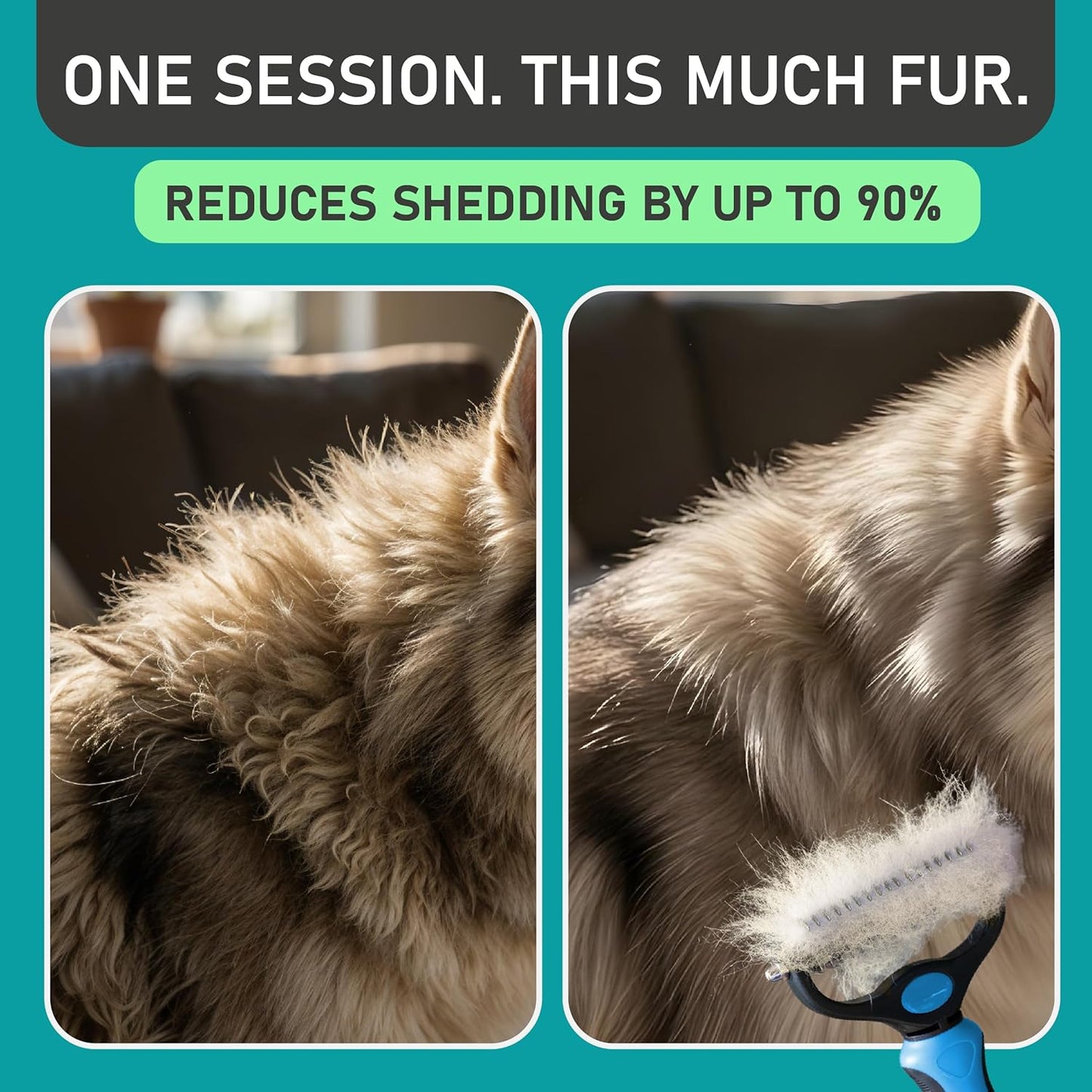⏰Last Day 60% OFF-🐕Universal Pet Detangling Comb for Dogs Grooming Tool🪮