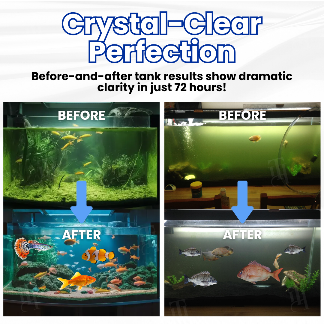 Oeomon® Max-Power Aquarium Purification Tablet