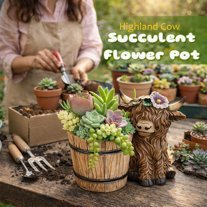 🐮Adorable Ceramic Highland Cow with Wooden Barrel Planter for Succulents🪴