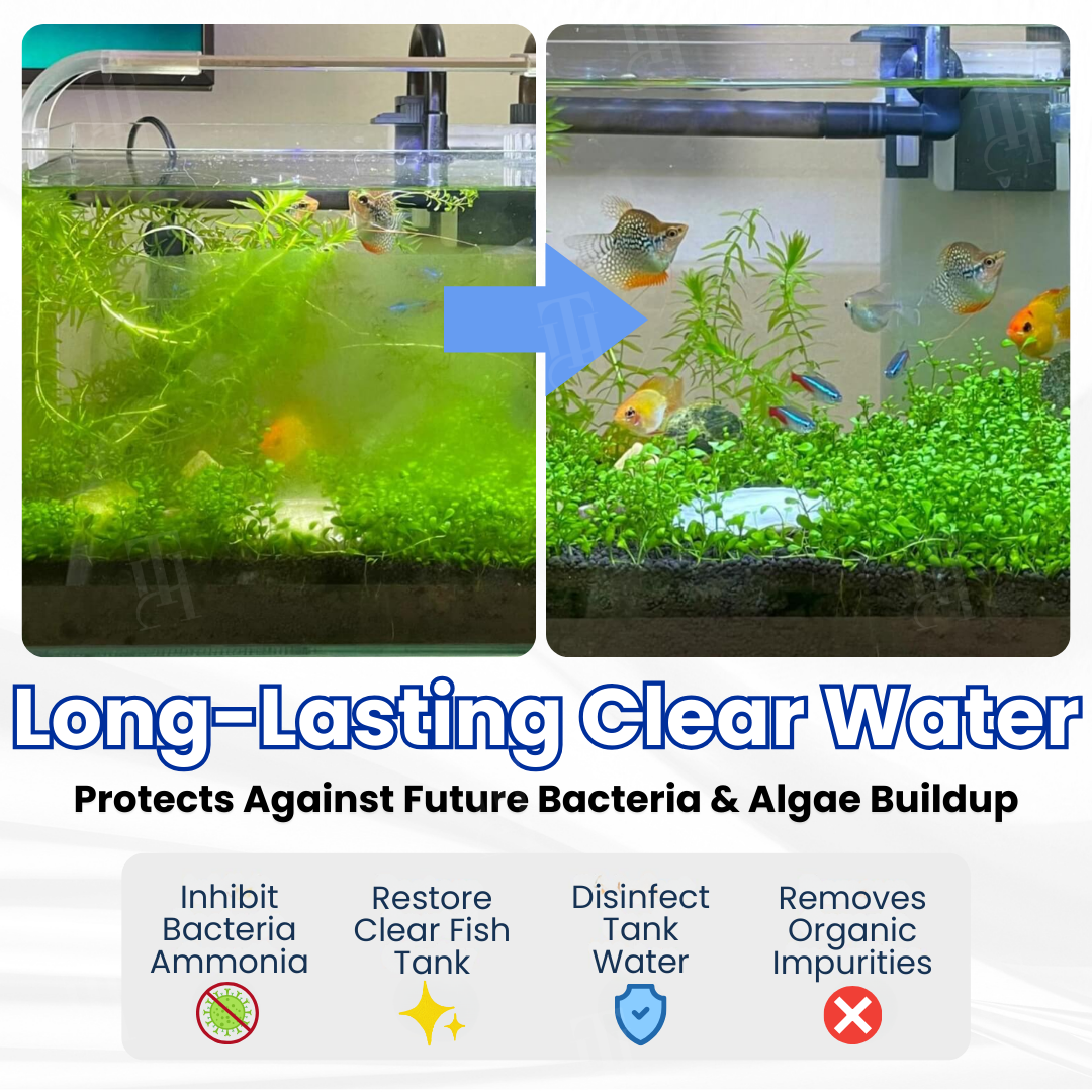 Oeomon® Max-Power Aquarium Purification Tablet