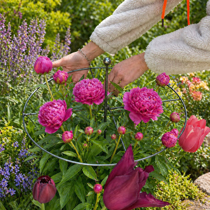 💖🎁2026 Mother's Day Gifts 50% Off🎁Plant Support