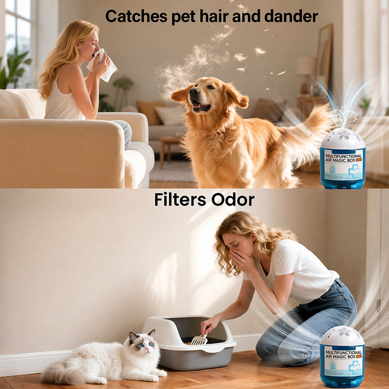 🔥 Limited-Time Pre-Sale⏰Indoor Air Purification Dust Removal Magic Box🏠