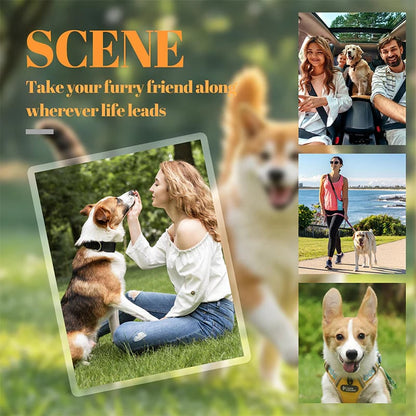 🐶🐱Newest Creative Transparent Dog/Cat Hair Collection Container Keychain