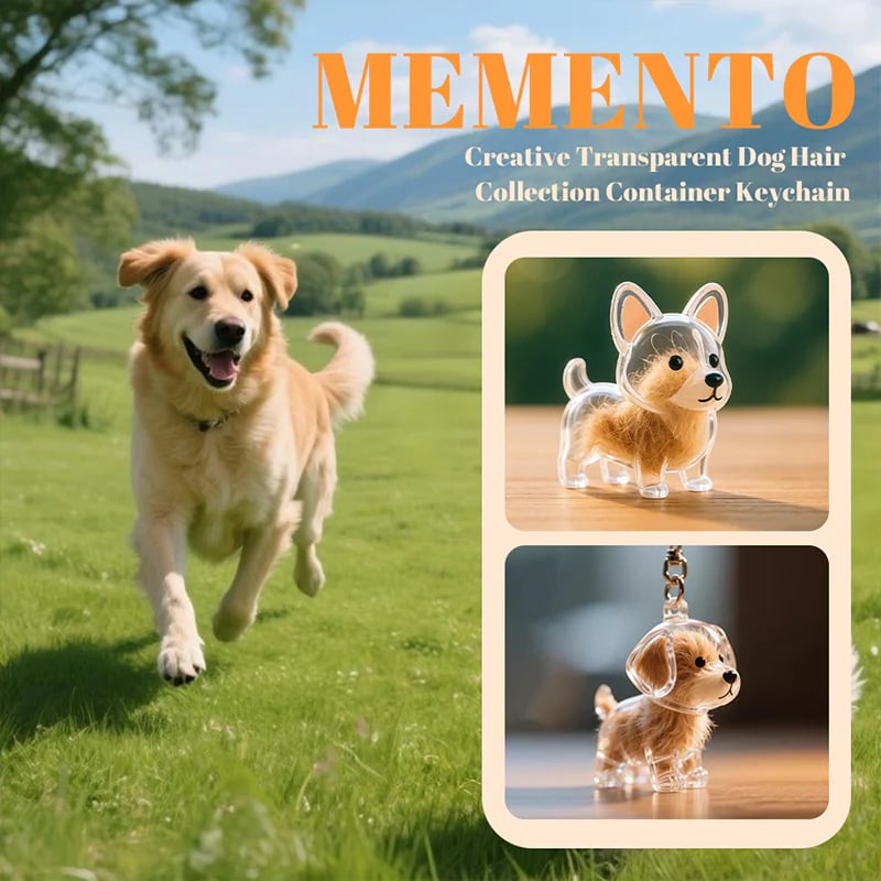 🐶🐱Newest Creative Transparent Dog/Cat Hair Collection Container Keychain