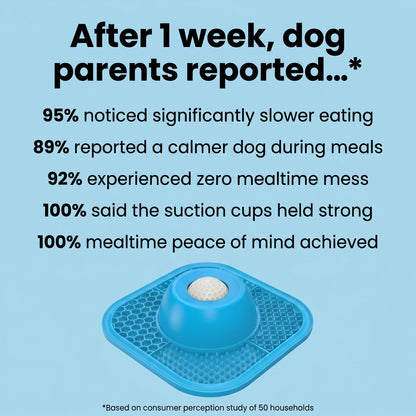 🐕🥣Last Day Promotion 50% Off -Lick & Roll Slow Feeder Bowl 2.0