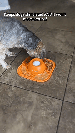🐕🥣Last Day Promotion 50% Off -Lick & Roll Slow Feeder Bowl 2.0