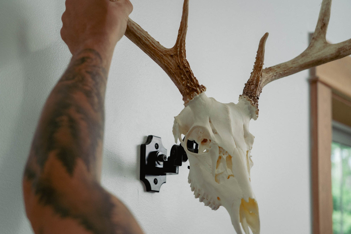 European Skull Mount Clamp