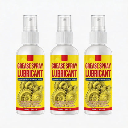 Anti-Rust Lubricant Spray & Rust Remover