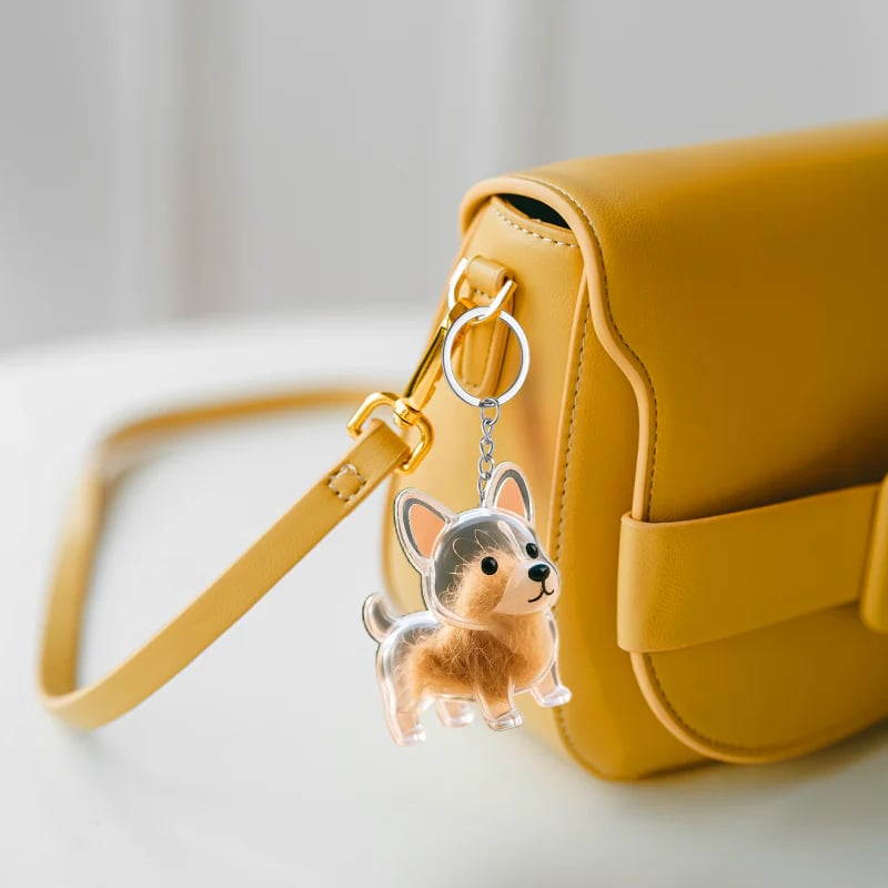 🐶🐱Newest Creative Transparent Dog/Cat Hair Collection Container Keychain