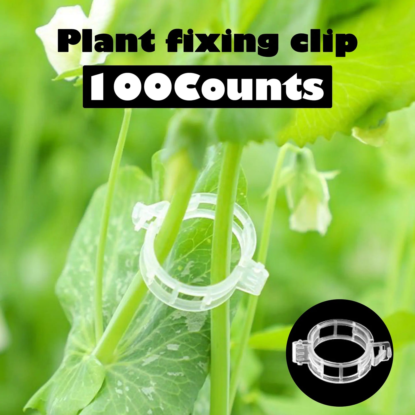 ⏰Last Day Promotion 49% 100 Counts Plant Support Clips