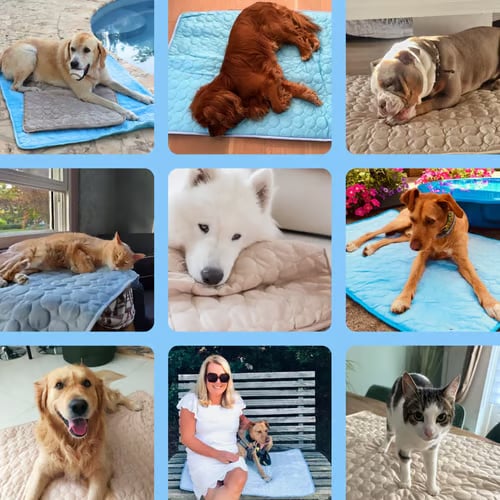 🔥 Hot Sale 49% OFF - Dog Cooling Mat (4x more effective)