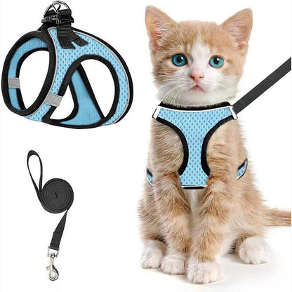 Adjustable Pet Harness & Leash Set