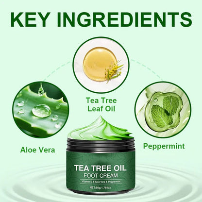 🥳2026 HOT SALE🥳💞50K+ SOLD!✨ 💝Soothing Aloe Vera & Tea Tree Foot Moisturizer💧