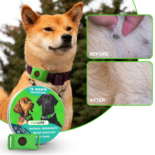 🐱🐕Last Day 60% OFF-12 Months Flea and Tick Free