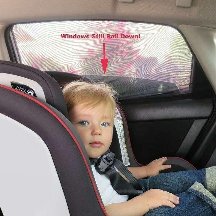 🚗Last Day BOGO! Universal Car Window Screens — Protect Your Car & Stay Cool